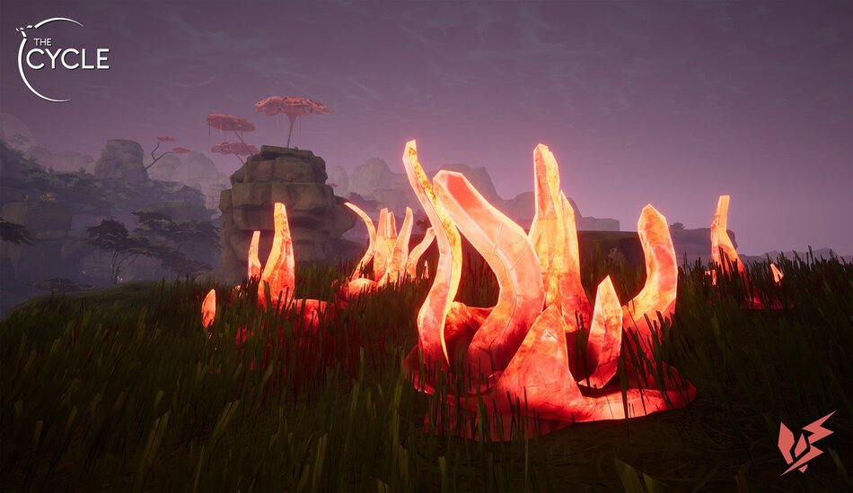 Surge Crystals Contract The Cycle
