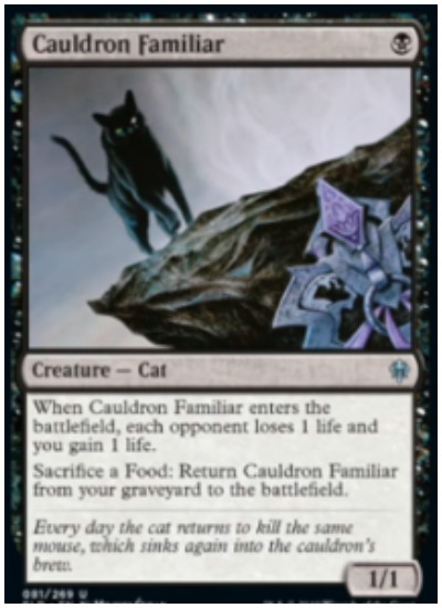 Cauldron Familiar