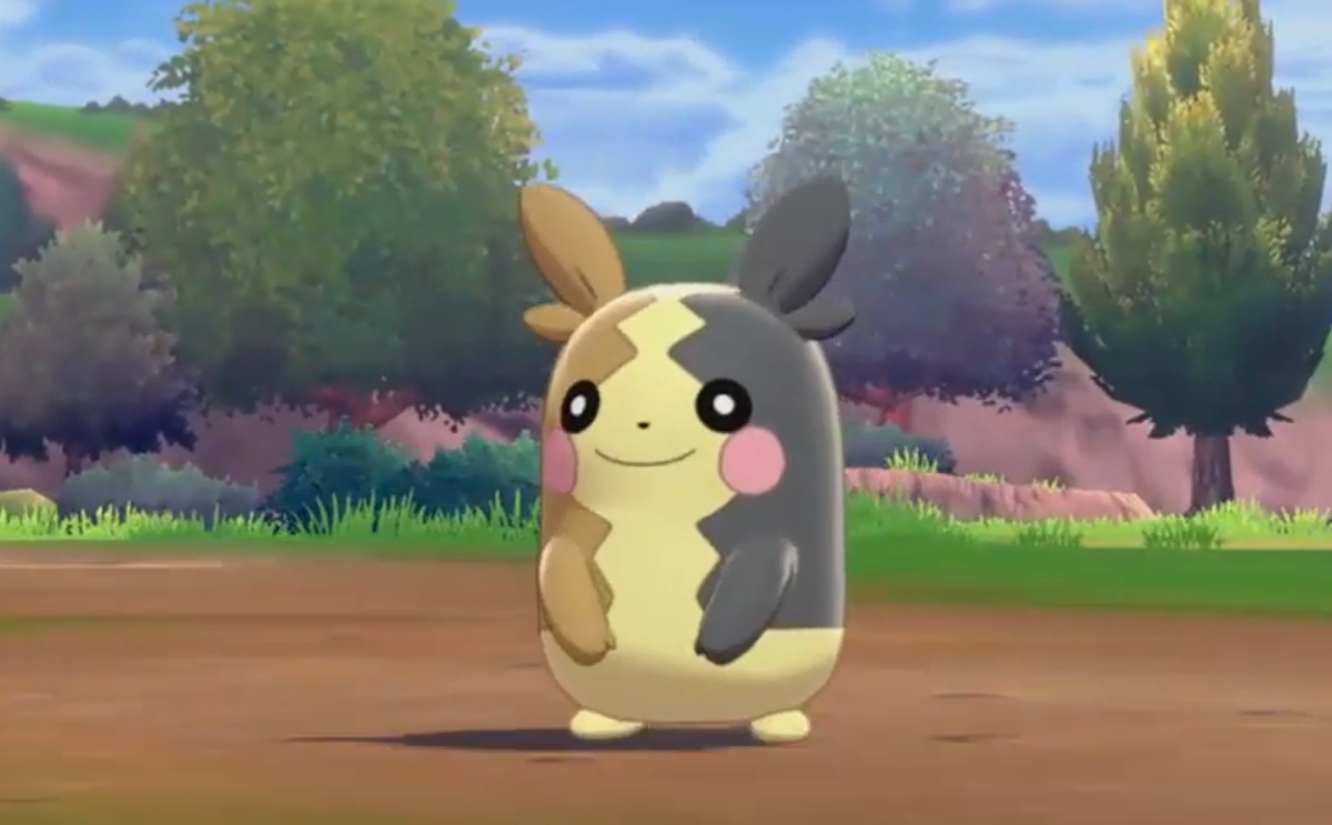 Where to find Morpeko in Pokémon Sword and Shield | Dot Esports