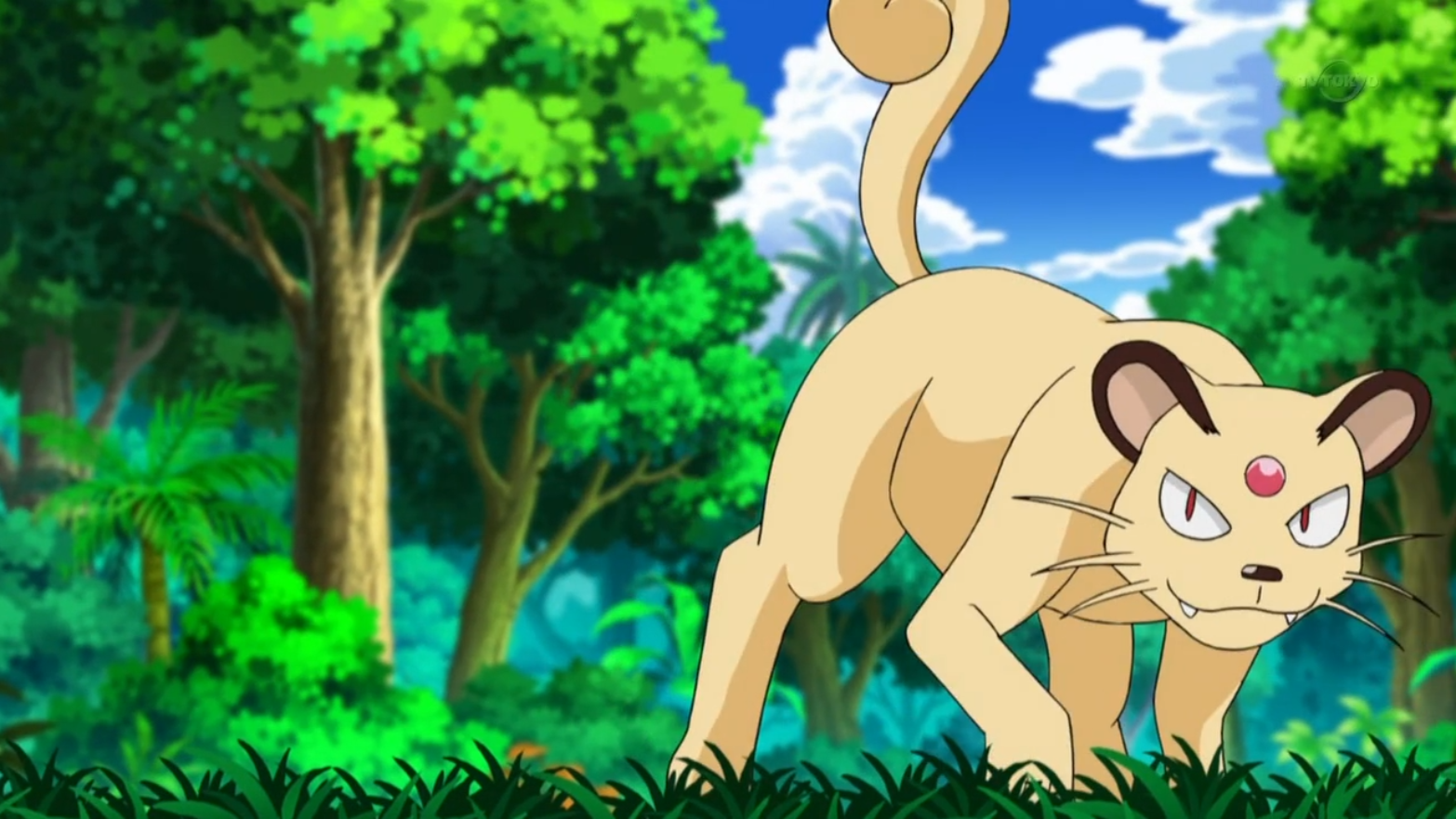 How To Find Kanto Meowth And Evolve It Into Persian In